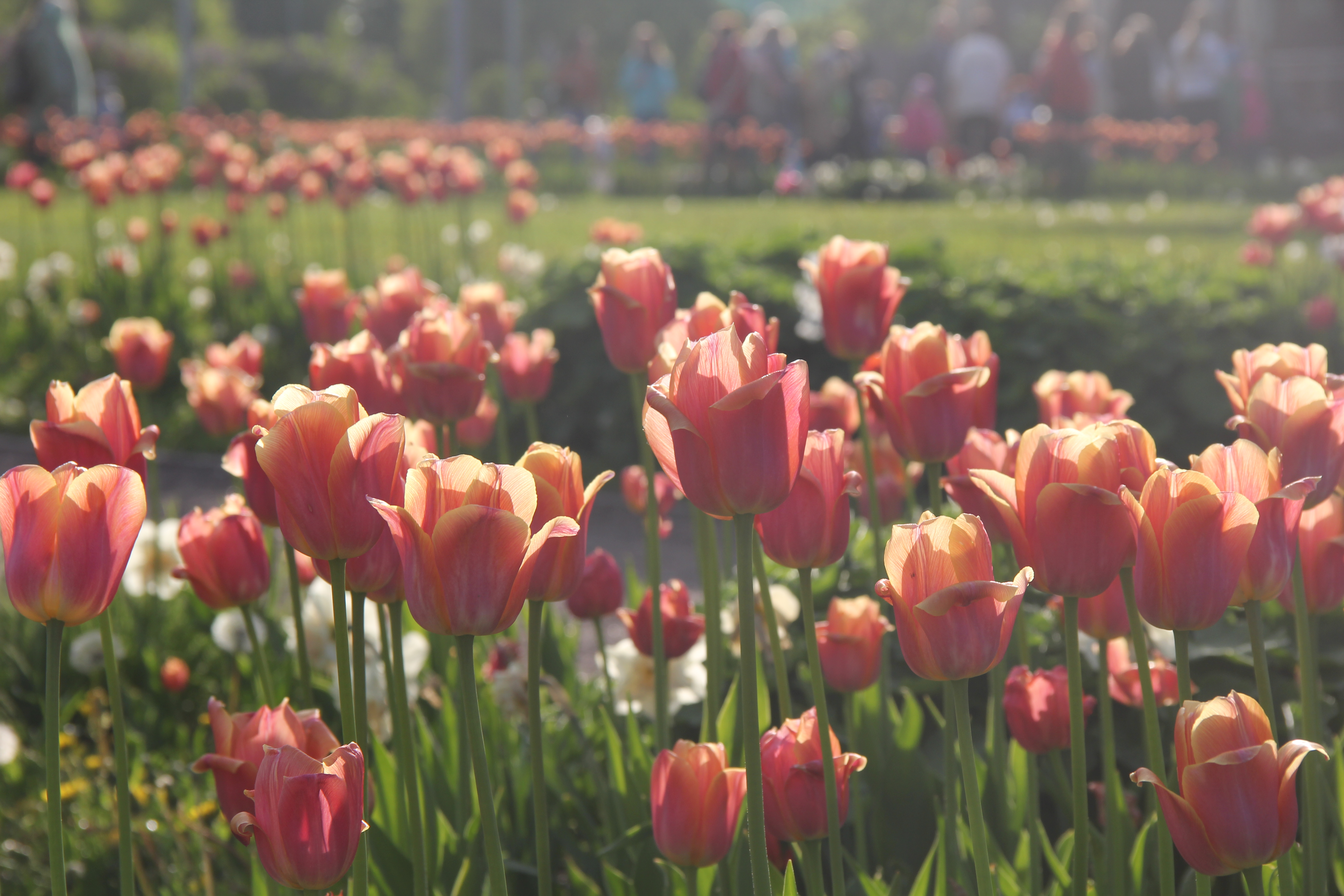 Photo июня 7, 11 33 09